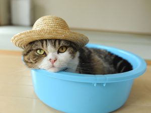 大阪　日本橋　メンズエステ　メンズマッサージ