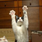 【熱中症対策】大阪のメンズエステで体の機能をアップさせよう